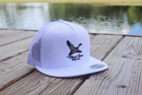 Flying Pintail Drake